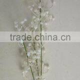 Artificial Baby Breath Flower in Factory Price for Home Decoration Good Price thumbnail-4