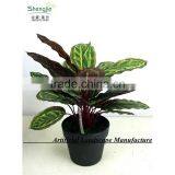 SAS201604 Cheap Artificial Green Plant Bonsai,Indoor Decor Green Plants thumbnail-2