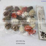 Pinecone for Florist thumbnail-1