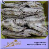 300g Raw Size Boneless Precooked Tuna thumbnail-3