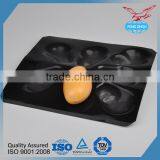 FDA/SGS Food Grade Custom Made Thermoformed PP Fruit Serving Tray thumbnail-2