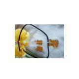 Sell Enamel Necklace With Large Charm thumbnail-1