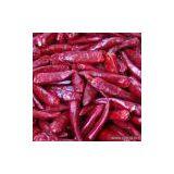 Sell Zidantou Chili thumbnail-1