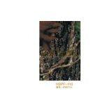 Hongda Wood Pattern Membrane thumbnail-1