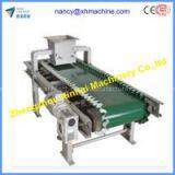 Best Design Electric Belt Scale