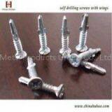 Hex Head CSD Thread Self Drilling Screw thumbnail-2
