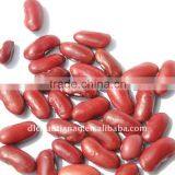 Red Kidney Bean(british Type) thumbnail-1