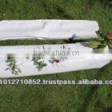 HYDROPONICS GROW BAG thumbnail-1