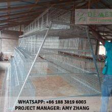A Type Layer Chicken Cage for Sale in Nigeria thumbnail-3