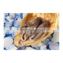 IQF Squid Tentacle Skin off