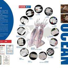 Yantai Transocean Foodstuff Co.,Ltd company overview - view 1 thumbnail