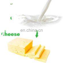 GENYOND Shanghai Factory Soft Hard Feta Mozzarella Cheddar Cheese Vat Press Cooking Equipment Making Machine Production Line thumbnail-1