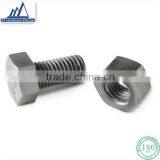 Customized Competitive Price Din934 Screw Nut 304