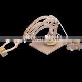 Pathfinders Robotic Arm Hydrolic Robotic Arm thumbnail-3