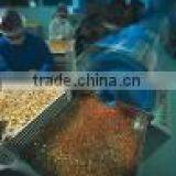 Get Effective Products Industry company overview - view 2 thumbnail