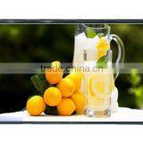 IPS 10.1 TFT Type TFT LCD Monitor, LCM Screen With LVDS Interface & 40PIN for Industrail