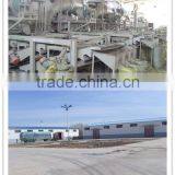 Cheap Sunflower Kernels(confectionary and Bakery) thumbnail-3