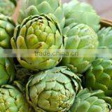 Apex International company overview - view 2 thumbnail