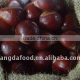Organic Fresh Chestnuts thumbnail-1