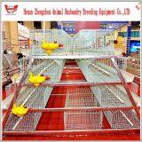 Direct Manufacturer Automatic Broiler Cage Broiler Poultry Farm House Design thumbnail-5