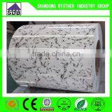 Color Printing Galvanized Steel Sheet thumbnail-4
