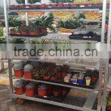 316 Conservatory Car Flower Transport Trolley Cart thumbnail-2