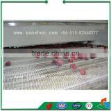 Food Freezing IQF Blast Freezing Vegetable Freezing Machine Frozen Cranberries thumbnail-3