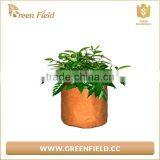 Paper Plant Pot Bag Brown Kraft Paper Planter Pot thumbnail-3
