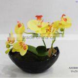 Yellow Phalaenopsis Orchids in Black Ceramic Pot thumbnail-1