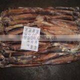 Frozen Illex Squid Whole Round thumbnail-1