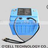 LiFePO4 24V15Ah Battery Pack for E-tool thumbnail-1