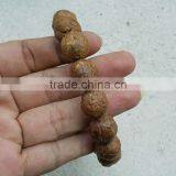 15 Beads Phoenix Eye Bodhi Seed Genuine Indonesian Buddha Chitta Mala Phrengba thumbnail-2