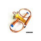 The Two(One)-Way Thermal Expansion Valve thumbnail-1