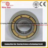 Insulation Bearings Manufacturer thumbnail-1