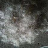 Grey Duck Down Material 70/30 /80/20 90/10