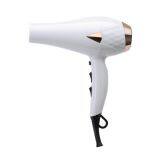 Competitive Price Professional Salon Use Hair Dryer With AC Motor thumbnail-2