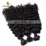 All Express Brazilian Hair Curly Brazilian Hair Mink Brazilian Hair thumbnail-3