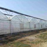 Agricultural Multi-span Hot Galvanized Steel Greenhouse Frame for Tomato thumbnail-3