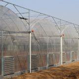 Multi Span PE Film Agricultural Greenhouse thumbnail-3