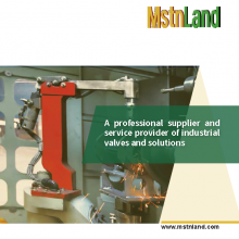 Mstnland API600 CAST STEEL FLANGED GATE VALVE (300LB) thumbnail-3