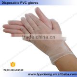 Powder free PVC gloves
