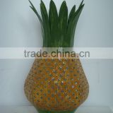 Iron Pineapple
