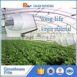 Virgin Material Greenhouse Film With Factory Price, PE Greenhouse Film. thumbnail-2