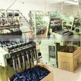 Zhuhai Grandview Trading Co., Ltd. company overview - view 2 thumbnail