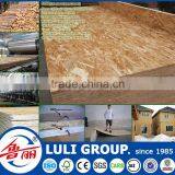 LULI Osb thumbnail-3