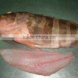 GROUPER GG thumbnail-1
