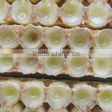 ISO Factory Supply Best Royal Jelly thumbnail-6