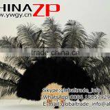 Wholesale Cheap Handmade Bamboo Staves Belly Dance Black Ostrich Feather Fans