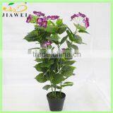 Life Size Artificial Trees Flower Trees Hydrangea