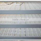 Egg Incubator for Sale in India/egg Incubator China thumbnail-6